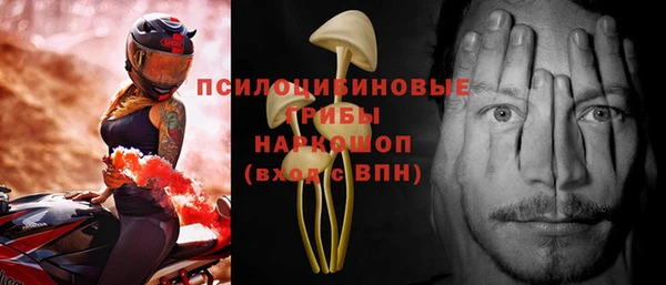 мяу мяу мука Пересвет
