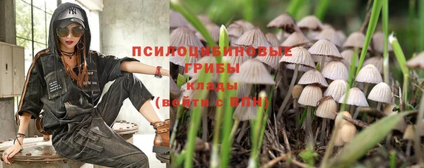 первитин Пестово