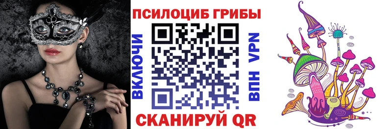 Купить Новое Девяткино Псилоцибиновые грибы GOLDEN TEACHER